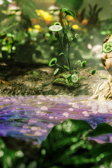Groot Takes a Bath