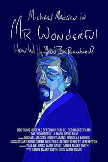 Mr. Wonderful poster