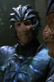 Prey