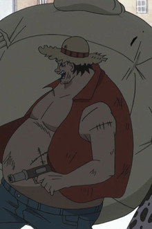 The Beginning of The New Chapter! The Straw Hats Reunited!