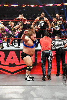 November 18, 2019 (Boston, MA)