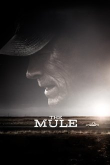 Watch Movies The Mule (2018) Full Free Online