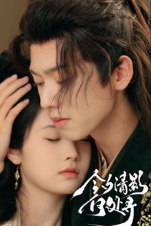 今夕清影何处寻 poster