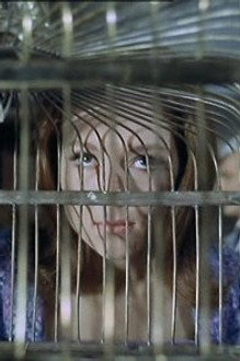 The Bird Who Knew Too Much