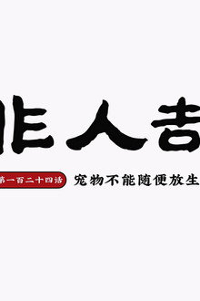 Episode 28