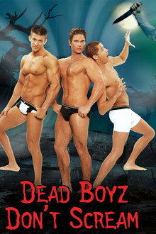 Dead Boyz Don't Scream poster