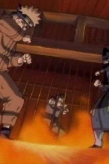 To Each His Own Path