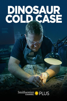 Dinosaur Cold Case poster