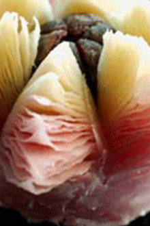 Pastries