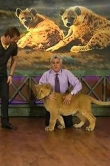 Dave salmoni; Patricia Arquette; Punch Brothers