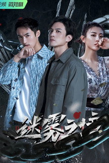 The Land of the Mist poster