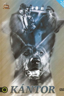 Kántor poster