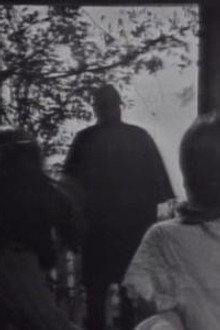 DS-233