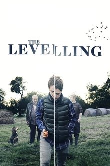 The Levelling poster