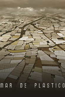 Mar de plástico poster