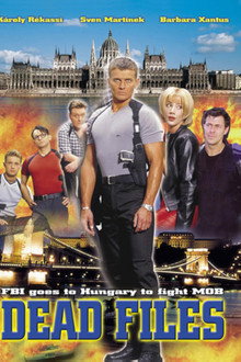 Rendőrsztori poster