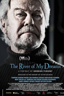 The River of My Dreams poster