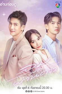 Something In The Wind poster