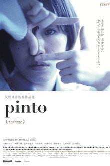 Pinto poster