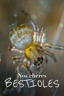Nos chères bestioles poster