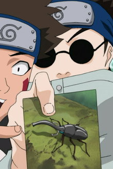 What's the Difference? Don't All Insects Look Alike?