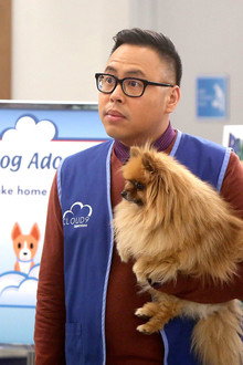 Dog Adoption Day