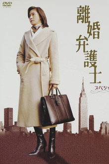 Divorce Lawyer poster