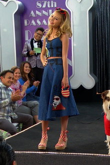 Dog on a Catwalk