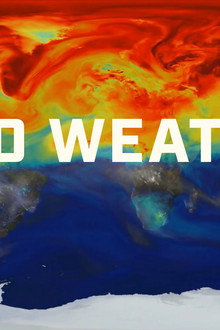 Wild Weather