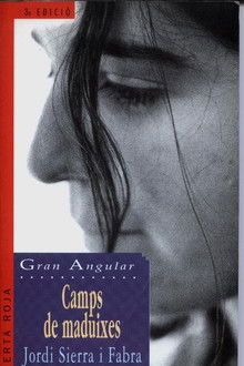 Camps de maduixes poster