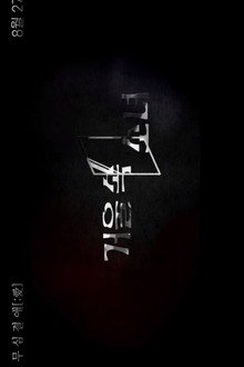 Girl in the Mirror poster