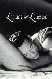 Looking for Langston poster