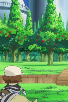 A Hard-Fought Battle Against Pica! Zoro's Deadly Attack!