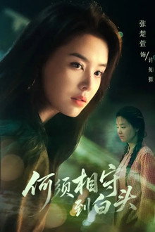 何须相守到白头 poster