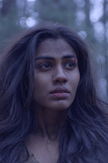 Catch The Tiger By The Tail