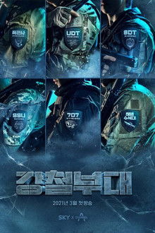 The Iron Squad poster