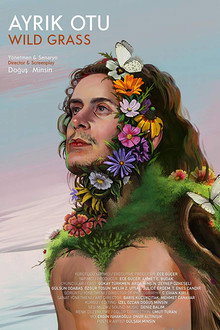 Wild Grass poster