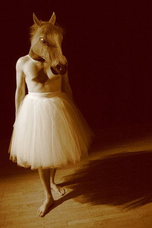 Figs in Motion poster