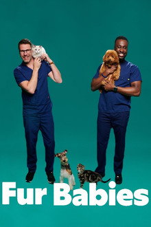 Fur Babies poster