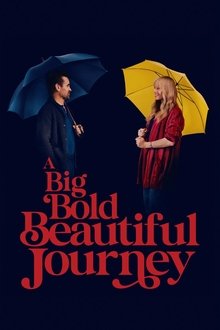 A Big Bold Beautiful Journey poster