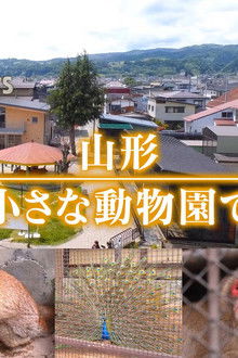 Yamagata At a small zoo