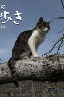 Hagi, Yamaguchi