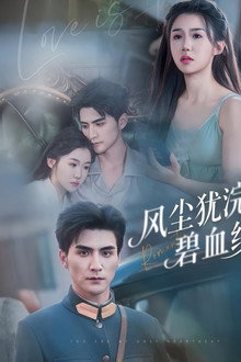 风尘犹浣碧血纱 poster