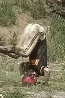 Meat Handlers vs. Cartoon Voice Actors