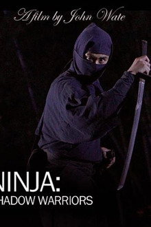 Ninja Shadow Warriors poster