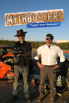 MythBusters: There's Your Problem poster