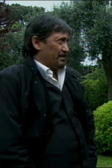 Inside the spider's web