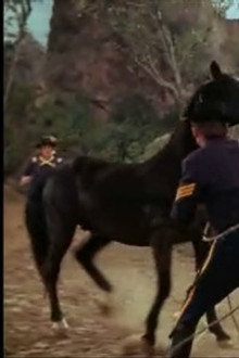 A Horse of Another Color