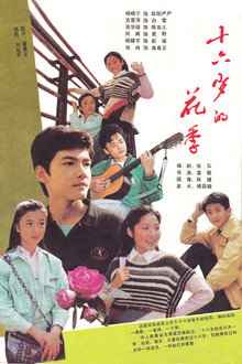 十六岁的花季 poster