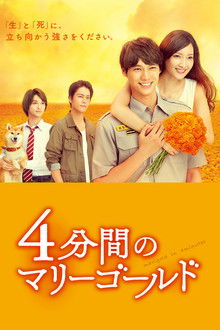 Marigold in 4 Minutes poster